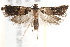  ( - BIOUG19651-G08)  @13 [ ] CreativeCommons - Attribution (2015) CBG Photography Group Centre for Biodiversity Genomics