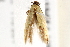  ( - BIOUG19651-H03)  @12 [ ] CreativeCommons - Attribution (2015) CBG Photography Group Centre for Biodiversity Genomics