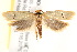  ( - BIOUG19952-B12)  @13 [ ] CreativeCommons - Attribution (2015) CBG Photography Group Centre for Biodiversity Genomics