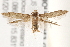  ( - BIOUG19953-G01)  @14 [ ] CreativeCommons - Attribution (2015) CBG Photography Group Centre for Biodiversity Genomics