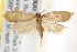  ( - BIOUG19954-A07)  @14 [ ] CreativeCommons - Attribution (2015) CBG Photography Group Centre for Biodiversity Genomics