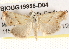  ( - BIOUG19955-D04)  @14 [ ] CreativeCommons - Attribution (2015) CBG Photography Group Centre for Biodiversity Genomics