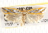  ( - BIOUG19955-E05)  @13 [ ] CreativeCommons - Attribution (2015) CBG Photography Group Centre for Biodiversity Genomics