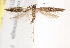  ( - BIOUG19955-F01)  @13 [ ] CreativeCommons - Attribution (2015) CBG Photography Group Centre for Biodiversity Genomics