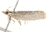  ( - BIOUG20227-F07)  @11 [ ] CreativeCommons - Attribution (2015) CBG Photography Group Centre for Biodiversity Genomics