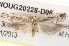  ( - BIOUG20228-D06)  @13 [ ] CreativeCommons - Attribution (2015) CBG Photography Group Centre for Biodiversity Genomics