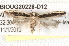  ( - BIOUG20228-D12)  @13 [ ] CreativeCommons - Attribution (2015) CBG Photography Group Centre for Biodiversity Genomics