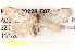  ( - BIOUG20228-E07)  @13 [ ] CreativeCommons - Attribution (2015) CBG Photography Group Centre for Biodiversity Genomics