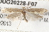  ( - BIOUG20228-F07)  @15 [ ] CreativeCommons - Attribution (2015) CBG Photography Group Centre for Biodiversity Genomics