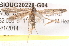  (Blastobasis AUS2 - BIOUG20228-G04)  @14 [ ] CreativeCommons - Attribution (2015) CBG Photography Group Centre for Biodiversity Genomics