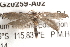  ( - BIOUG20259-A02)  @14 [ ] CreativeCommons - Attribution (2015) CBG Photography Group Centre for Biodiversity Genomics