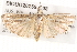  ( - BIOUG20259-C08)  @13 [ ] CreativeCommons - Attribution (2015) CBG Photography Group Centre for Biodiversity Genomics