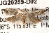  ( - BIOUG20259-D02)  @13 [ ] CreativeCommons - Attribution (2015) CBG Photography Group Centre for Biodiversity Genomics