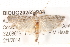  ( - BIOUG20259-D04)  @13 [ ] CreativeCommons - Attribution (2015) CBG Photography Group Centre for Biodiversity Genomics