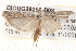  ( - BIOUG20259-D08)  @13 [ ] CreativeCommons - Attribution (2015) CBG Photography Group Centre for Biodiversity Genomics