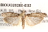  ( - BIOUG20260-E02)  @13 [ ] CreativeCommons - Attribution (2015) CBG Photography Group Centre for Biodiversity Genomics