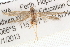  ( - BIOUG20260-F05)  @14 [ ] CreativeCommons - Attribution (2015) CBG Photography Group Centre for Biodiversity Genomics