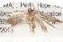  ( - BIOUG20260-F10)  @13 [ ] CreativeCommons - Attribution (2015) CBG Photography Group Centre for Biodiversity Genomics