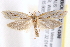  ( - BIOUG20260-G08)  @14 [ ] CreativeCommons - Attribution (2015) CBG Photography Group Centre for Biodiversity Genomics