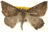  ( - BIOUG20289-H04)  @12 [ ] CreativeCommons - Attribution (2015) CBG Photography Group Centre for Biodiversity Genomics