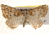  ( - BIOUG20289-H06)  @13 [ ] CreativeCommons - Attribution (2015) CBG Photography Group Centre for Biodiversity Genomics