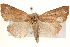  ( - BIOUG20300-E07)  @14 [ ] CreativeCommons - Attribution (2015) CBG Photography Group Centre for Biodiversity Genomics