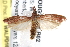  ( - BIOUG21702-B02)  @14 [ ] CreativeCommons - Attribution (2015) CBG Photography Group Centre for Biodiversity Genomics