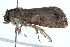  ( - BIOUG21702-G09)  @12 [ ] CreativeCommons - Attribution (2015) CBG Photography Group Centre for Biodiversity Genomics