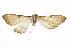  ( - BIOUG37861-D07)  @12 [ ] CreativeCommons - Attribution (2018) CBG Photography Group Centre for Biodiversity Genomics