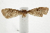  ( - BIOUG37861-H09)  @11 [ ] CreativeCommons - Attribution (2018) CBG Photography Group Centre for Biodiversity Genomics