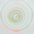  ( - WALW_020_G11)  @11 [ ] by (2023) Wellcome Sanger Institute (Genome Research Limited) Wellcome Sanger Institute (Genome Research Limited)