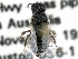  ( - CCDB-27396-A08)  @11 [ ] CreativeCommons - Attribution (2016) CBG Photography Group Centre for Biodiversity Genomics