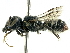  ( - CCDB-27396-D10)  @11 [ ] CreativeCommons - Attribution (2016) CBG Photography Group Centre for Biodiversity Genomics
