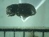  ( - USNM ENT 01014739)  @12 [ ] No Rights Reserved  Unspecified Unspecified