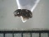  ( - USNM ENT 01014717)  @12 [ ] No Rights Reserved  Unspecified Unspecified