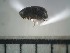  ( - USNM ENT 01014689)  @12 [ ] No Rights Reserved  Unspecified Unspecified