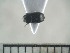  ( - USNM ENT 01014432)  @12 [ ] No Rights Reserved  Unspecified Unspecified