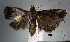  ( - USNM ENT 01014077)  @14 [ ] No Rights Reserved  Unspecified Unspecified