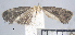  ( - USNM ENT 01014011)  @12 [ ] No Rights Reserved  Unspecified Unspecified