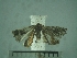  ( - USNM ENT 01014231)  @11 [ ] No Rights Reserved  Unspecified Unspecified