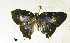 ( - USNM ENT 01014102)  @12 [ ] No Rights Reserved  Unspecified Unspecified