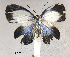  ( - USNM ENT 01014150)  @12 [ ] No Rights Reserved  Unspecified Unspecified