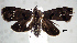  ( - USNM ENT 01014094)  @14 [ ] No Rights Reserved  Unspecified Unspecified