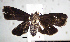  ( - USNM ENT 01014094)  @14 [ ] No Rights Reserved  Unspecified Unspecified