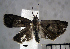 ( - USNM ENT 01014053)  @14 [ ] No Rights Reserved  Unspecified Unspecified