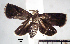  ( - USNM ENT 01014082)  @14 [ ] No Rights Reserved  Unspecified Unspecified