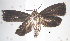  ( - USNM ENT 01014083)  @13 [ ] No Rights Reserved  Unspecified Unspecified