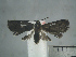  ( - USNM ENT 01014089)  @13 [ ] No Rights Reserved  Unspecified Unspecified