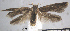 ( - USNM ENT 01014056)  @14 [ ] No Rights Reserved  Unspecified Unspecified