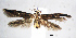  ( - USNM ENT 01014056)  @13 [ ] No Rights Reserved  Unspecified Unspecified